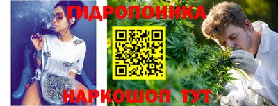 стаф Кулебаки