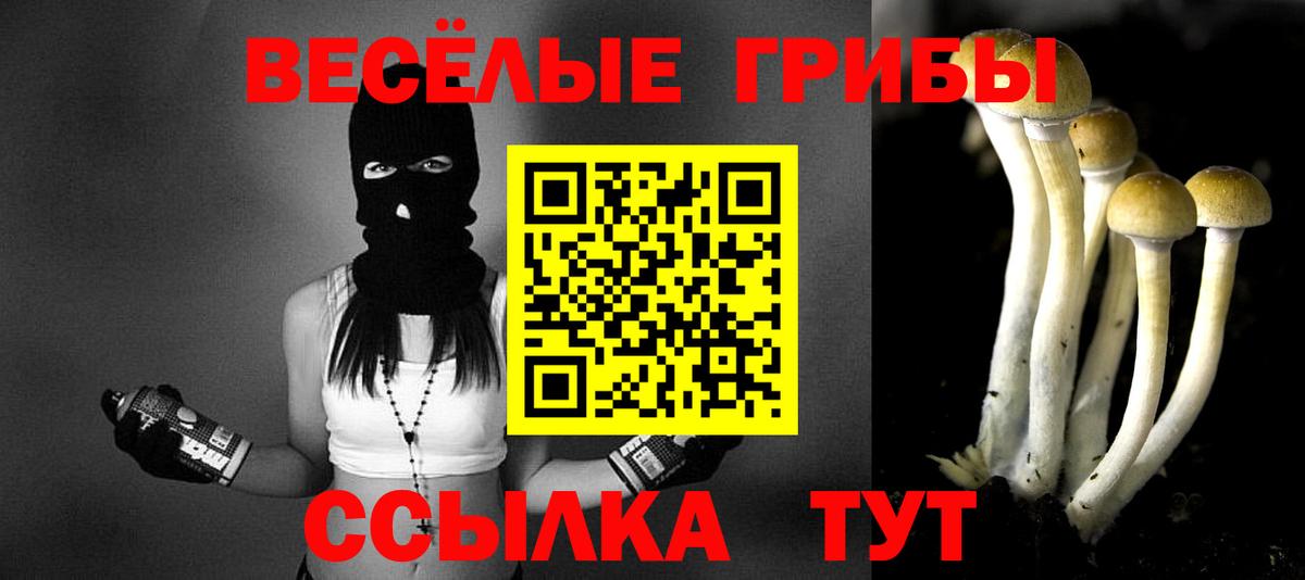 Псилоцибиновые грибы MAGIC MUSHROOMS Гудермес