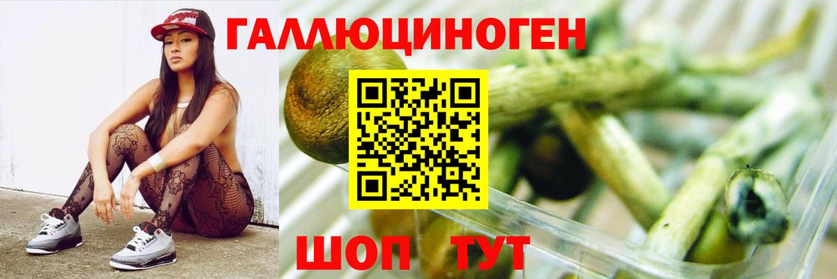 Галлюциногенные грибы мицелий  Вход с VPN  Гудермес 